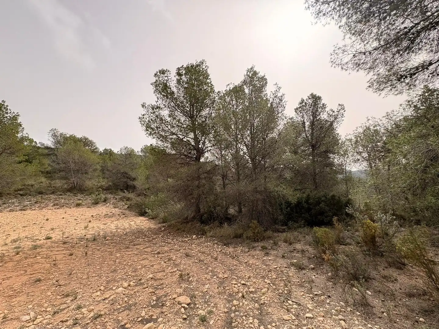 Wohnbaugrundstück zum Verkauf in Petrer, imagen 14