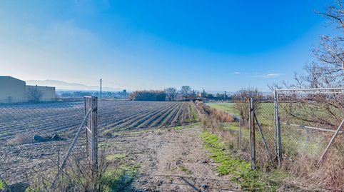 Magnífica finca de regadío en la Vega de Granada, con acceso directo., imatge 2