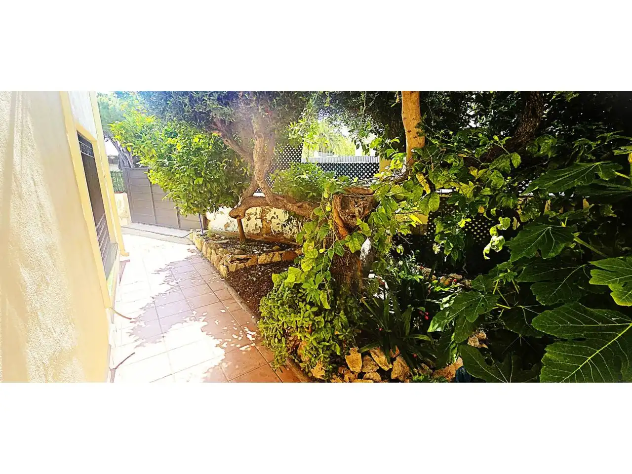 Jardí de Casa o xalet en venda en Torredembarra amb Aire condicionat, Calefacció i Jardí privat