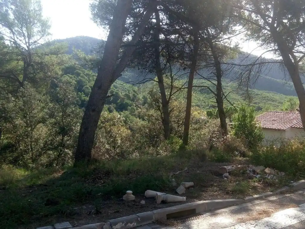 Terreny residencial en venda a Estacio De Torreblanca, 48, imagen 5