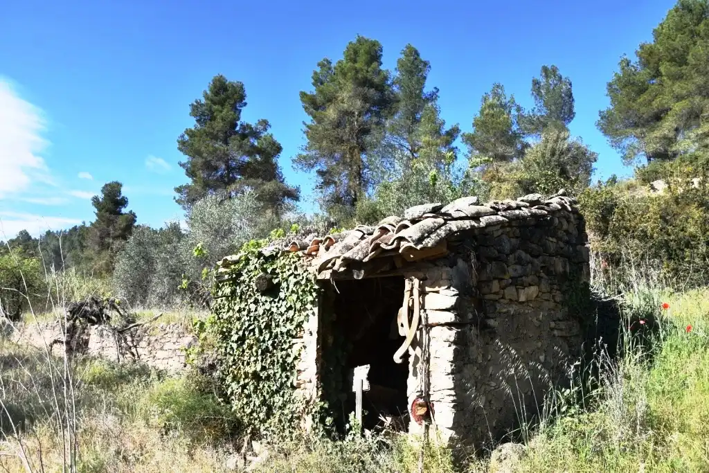 Terreny rústic en venda a La Fresneda