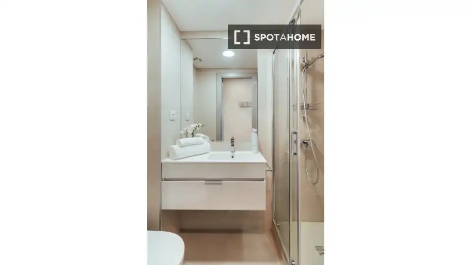 Bathroom of Flat for share in Barcelona  with Air Conditioner, Heating and Furnished