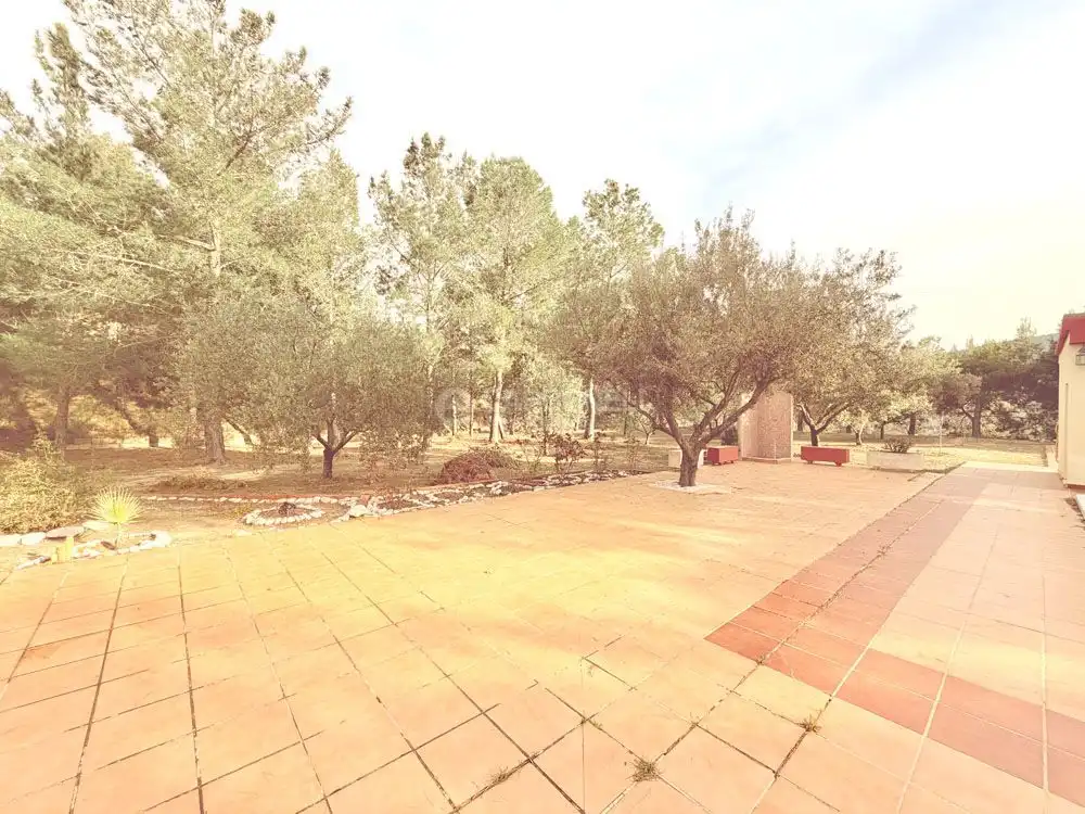 Casa amb piscina en venda a Centre - Zona Alta, imagen 43