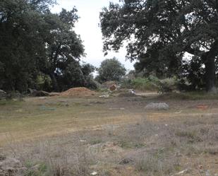 Land for sale in Carrascal de Barregas