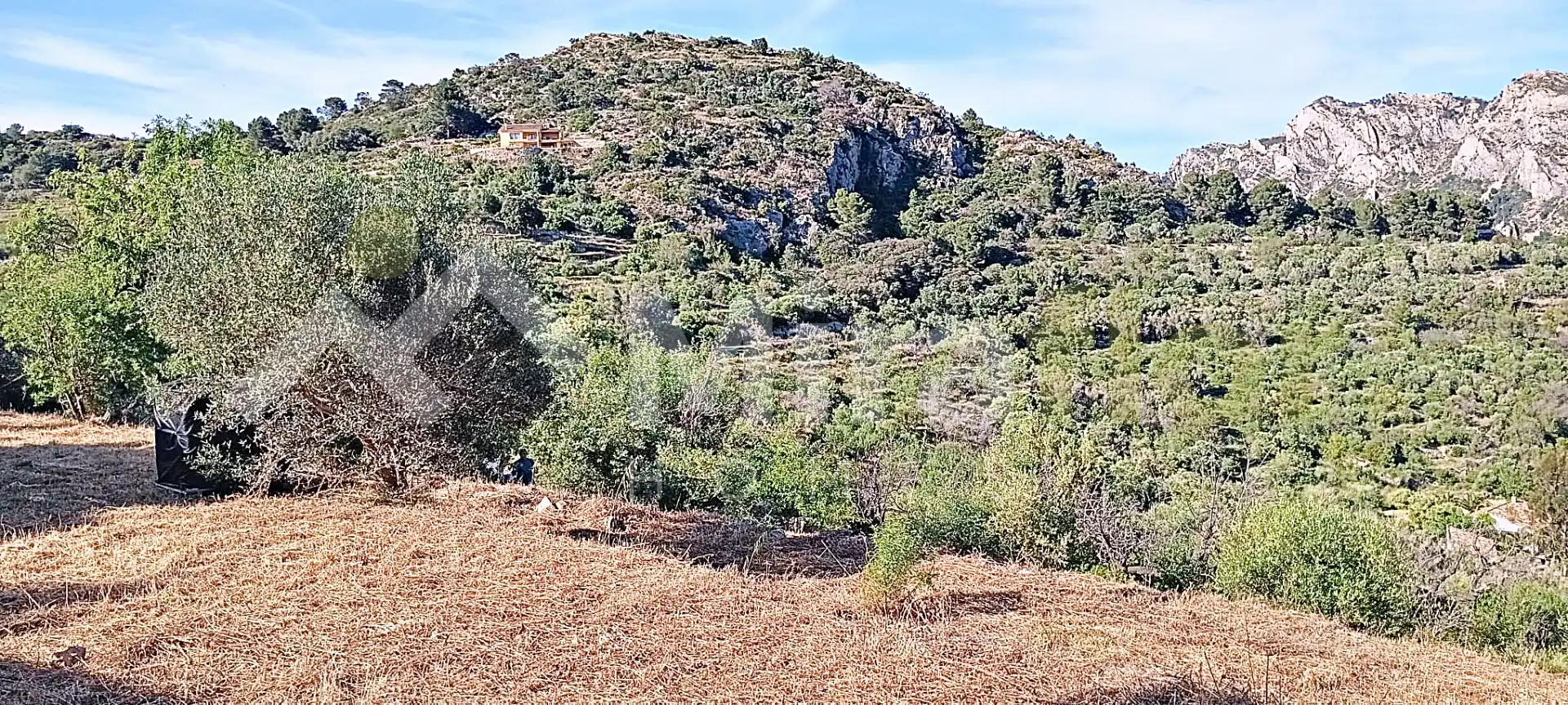 Terreny rústic en venda a Castell de Castells, imagen 21