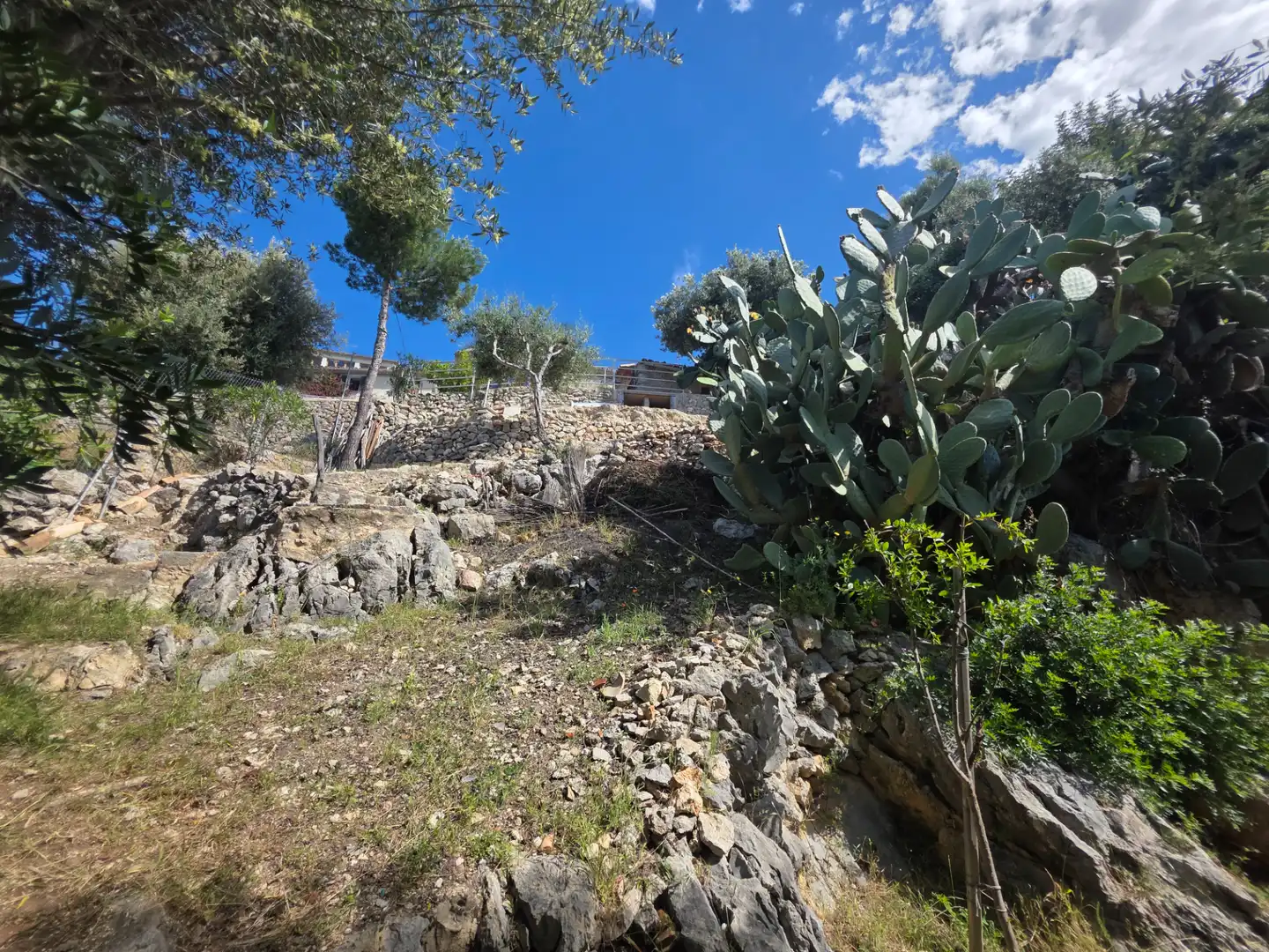 Casa o chalet en venta en Puigpunyent con Jardín privado
