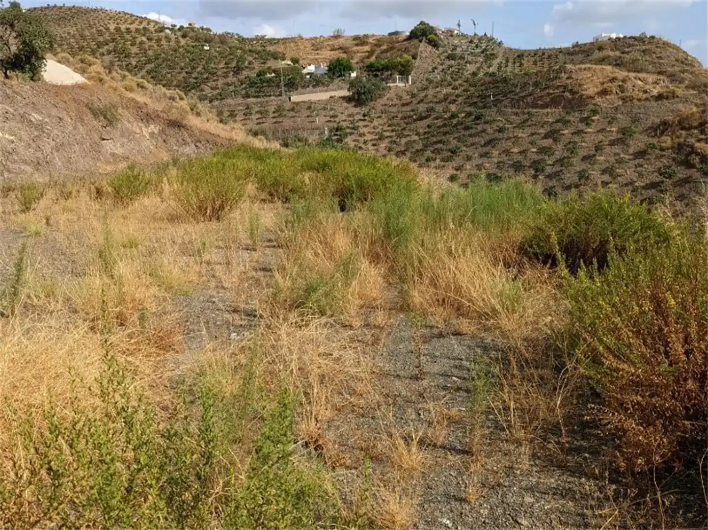 Finca rústica en venda en Almáchar