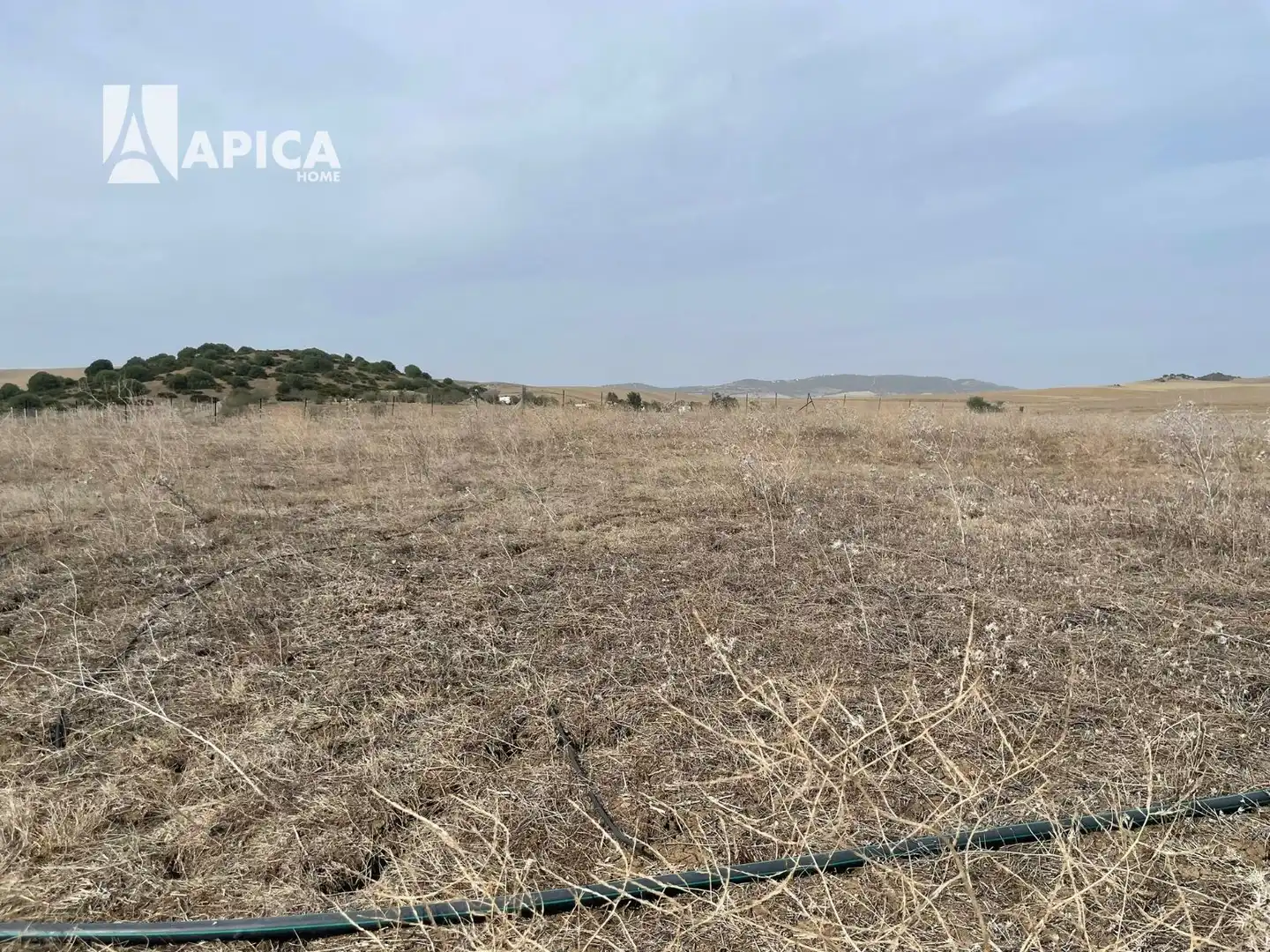 Terrain rustique à vendre à Vejer, imagen 6