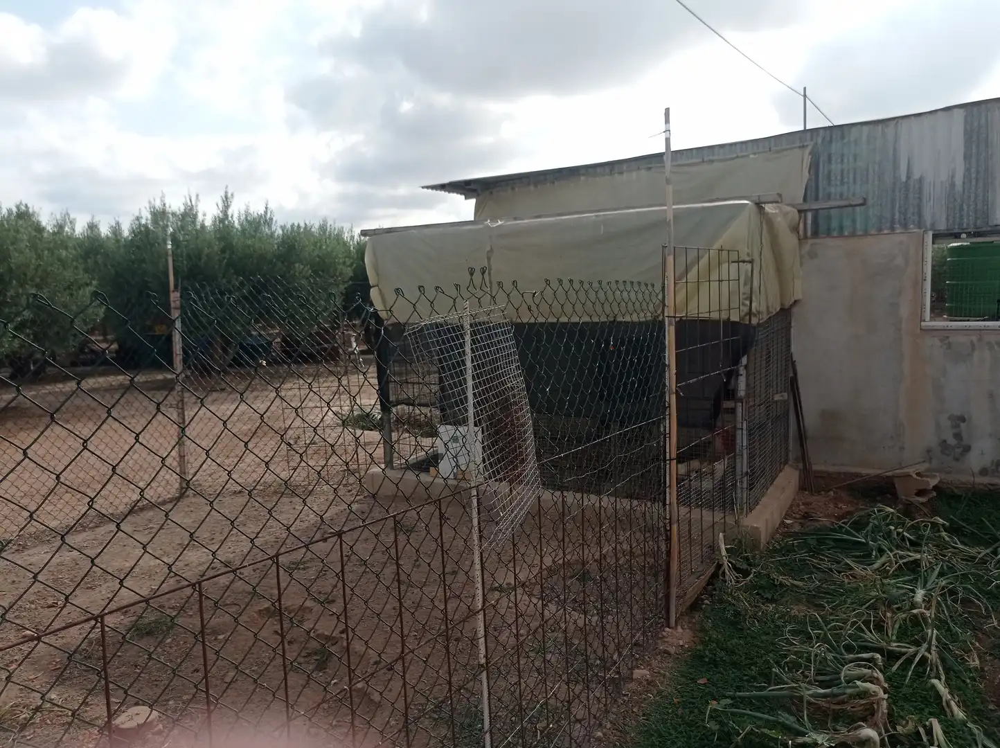 Finca rústica en venta en Fuente Álamo de Murcia con Calefacción, Jardín privado y Piscina