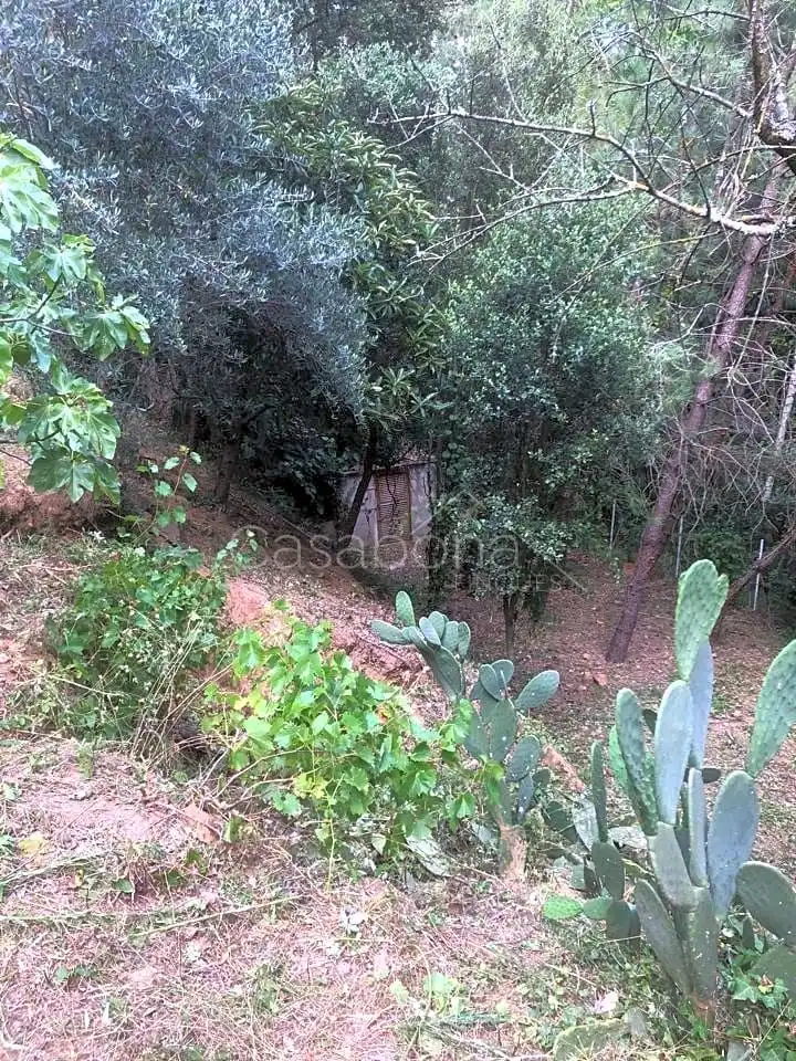 Finca rústica en venta en Arbúcies con Jardín privado, Terraza y Amueblado