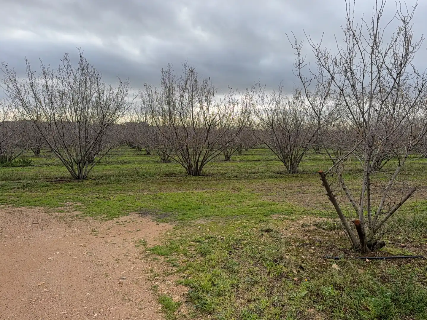 Terrain rustique à vendre à Carretera a la Maso 1G, imagen 26