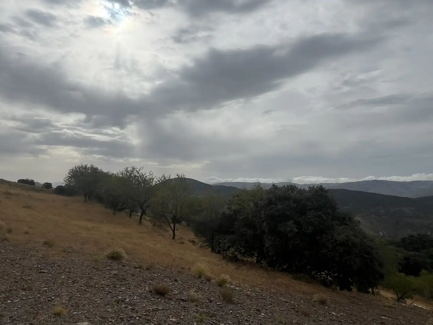 Terreno en venta en La Taha