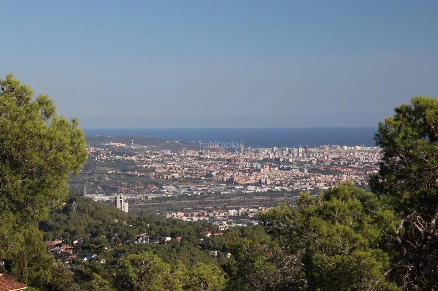 Terreno residencial en venta en Carrer de l'Alzina 79, imagen 7