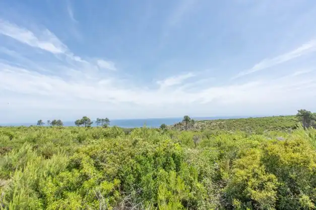 Residential land for sale in Centro ciudad, imagen 11