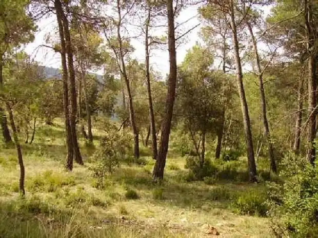 Terreno residenziale in vendita a Seva, imagen 6