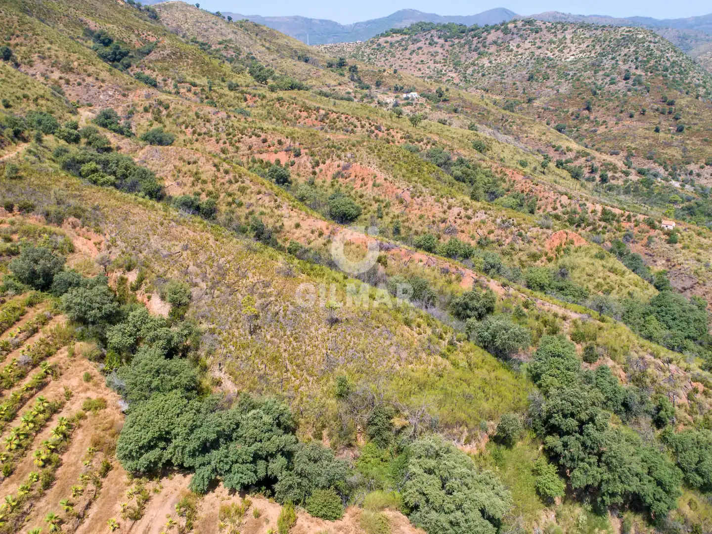 Terreno rustico in vendita a Altos de Estepona, imagen 22