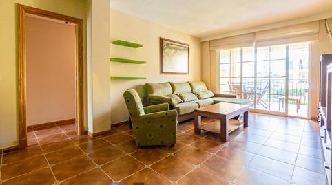 Foto 3 de Pis de lloguer a Carrer del Falcó, Maioris-Puig de Ros, Llucmajor