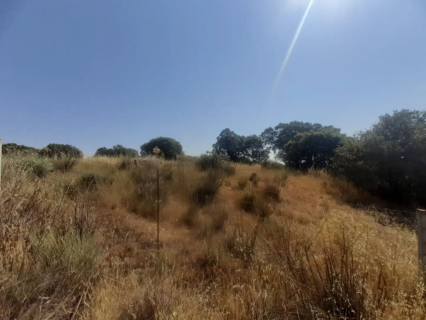 Land for sale in Almeida de Sayago