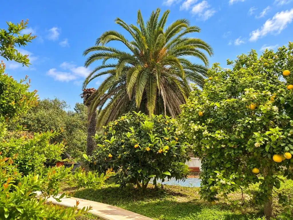 Casa en venda a Cap Martí - El Tossalet - Pinomar, imagen 35