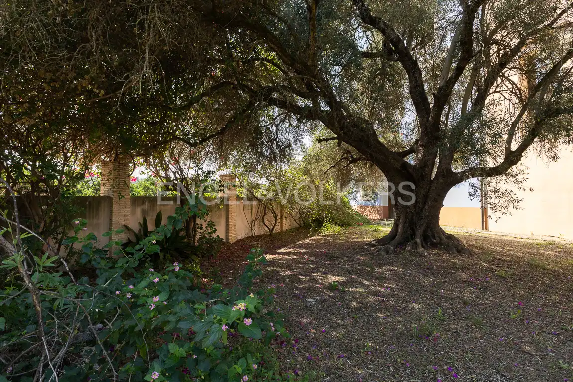 Maison avec piscine à vendre à Carcaixent, imagen 69