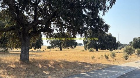 Foto 4 de Finca rústica en venda a Buenavista, Salamanca