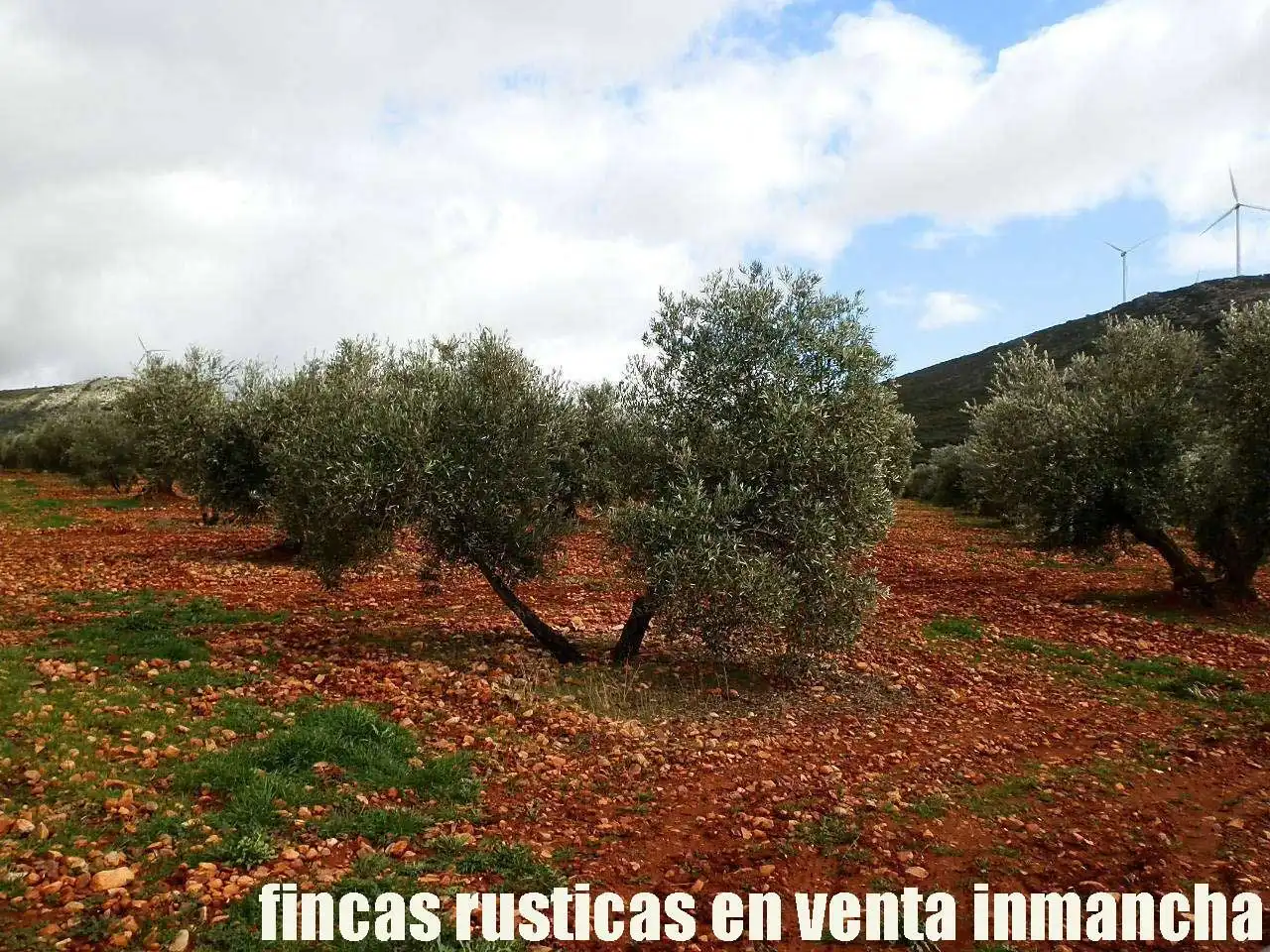 Rural land for sale in Valdepeñas, imagen 14