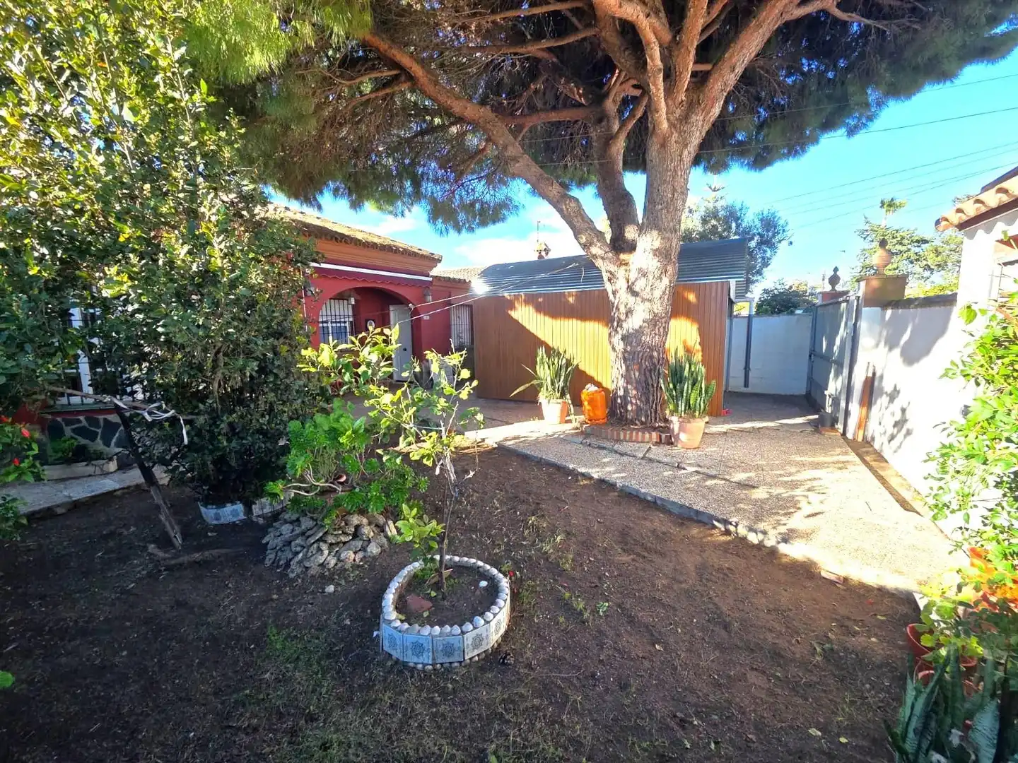 Jardí de Casa o xalet en venda en Chiclana de la Frontera amb Jardí privat