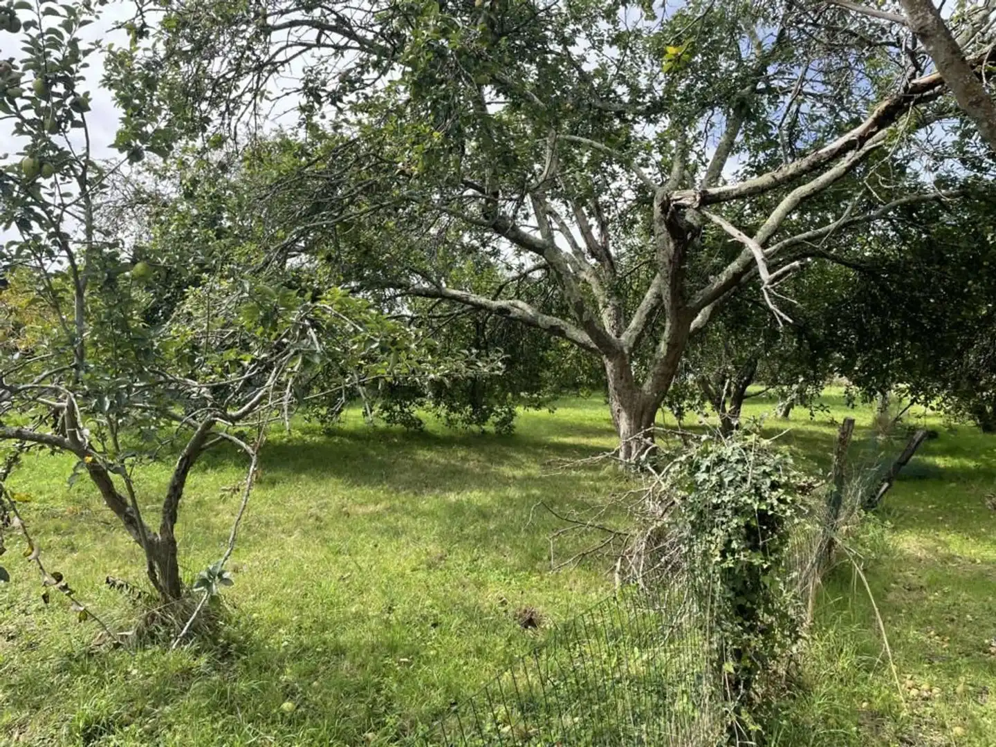 Country house zum Verkauf in Ortigueira mit Privatgarten, Terrasse und Abstellraum