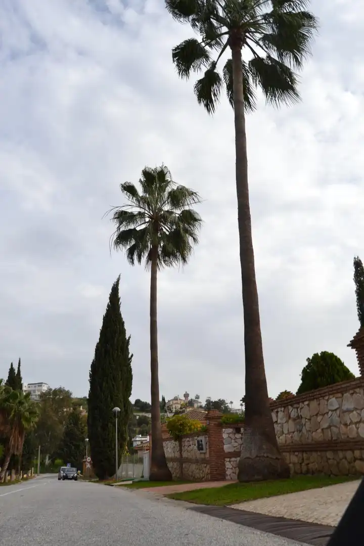 Vista exterior de Apartamento en venta en Mijas con Jardín privado, Terraza y Piscina comunitaria