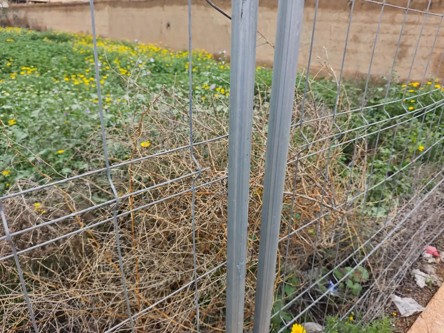 Garten von Residential zum Verkauf in Murcia