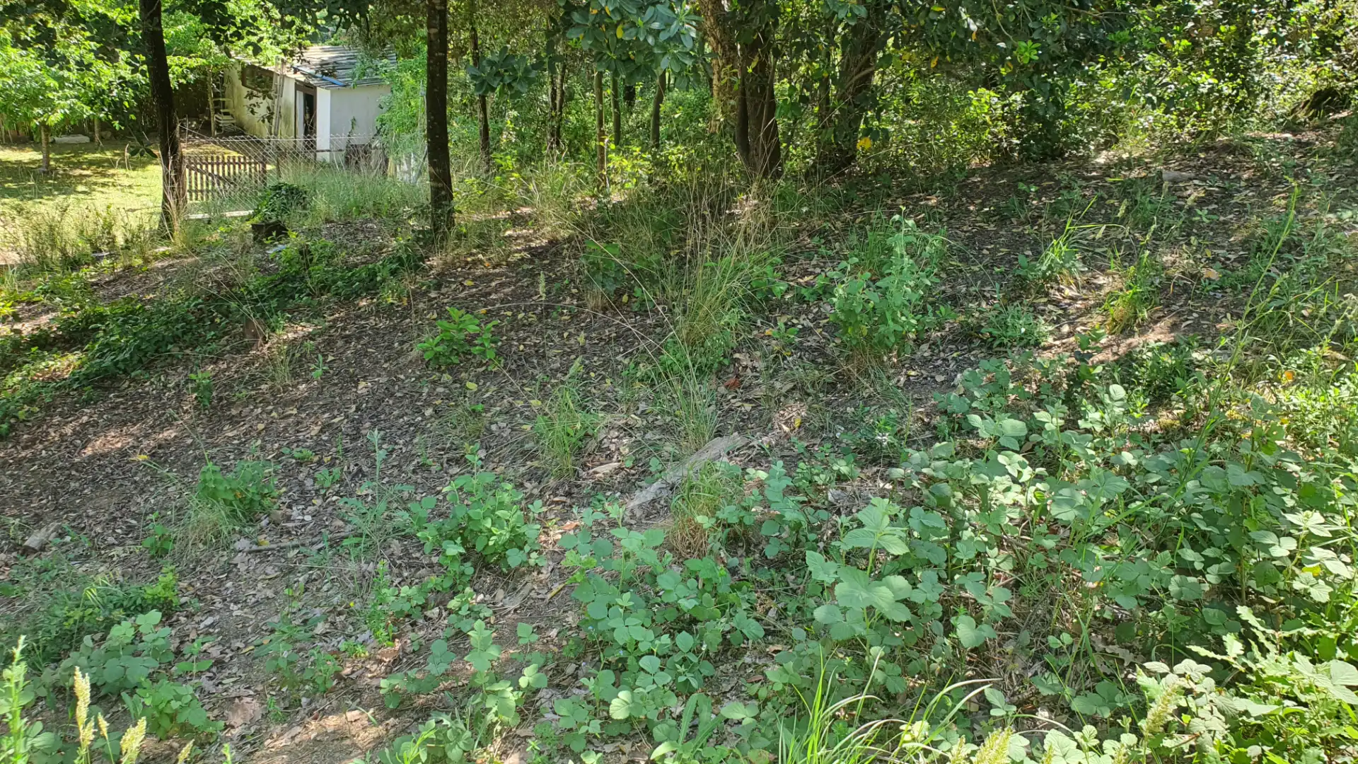 Terreno residencial en venta en Carrer Fredolic 118, imagen 15