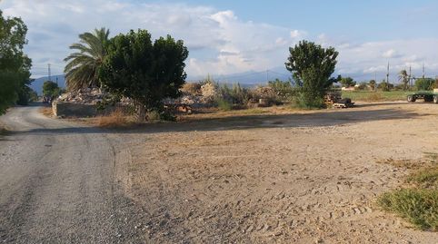 FANTASTICO TERRENO EN CREVILLENTE, ALICANTE, COSTA BLANCA SUR, imatge 3