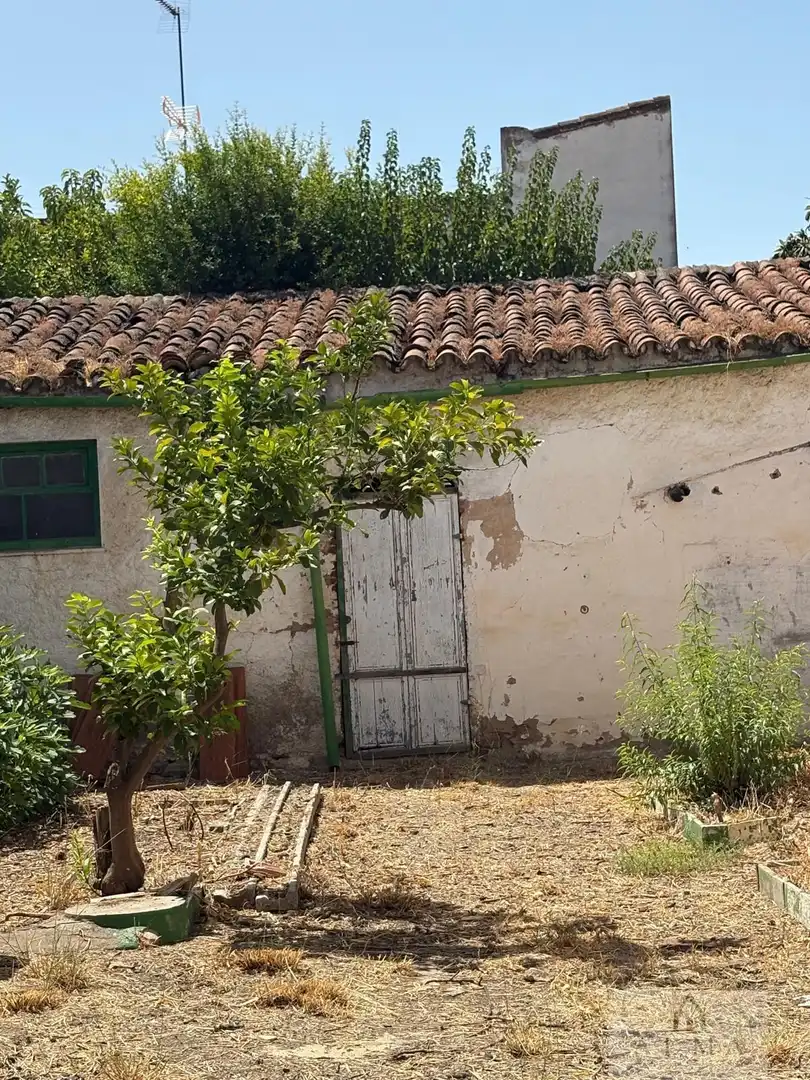 Außenansicht von Haus oder Chalet zum Verkauf in Almendralejo