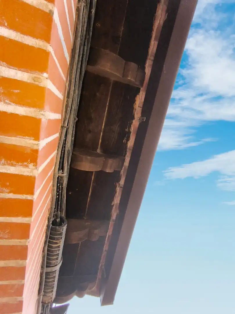 Vista exterior de Casa o chalet en venta en Pedraza de Campos con Calefacción, Jardín privado y Terraza