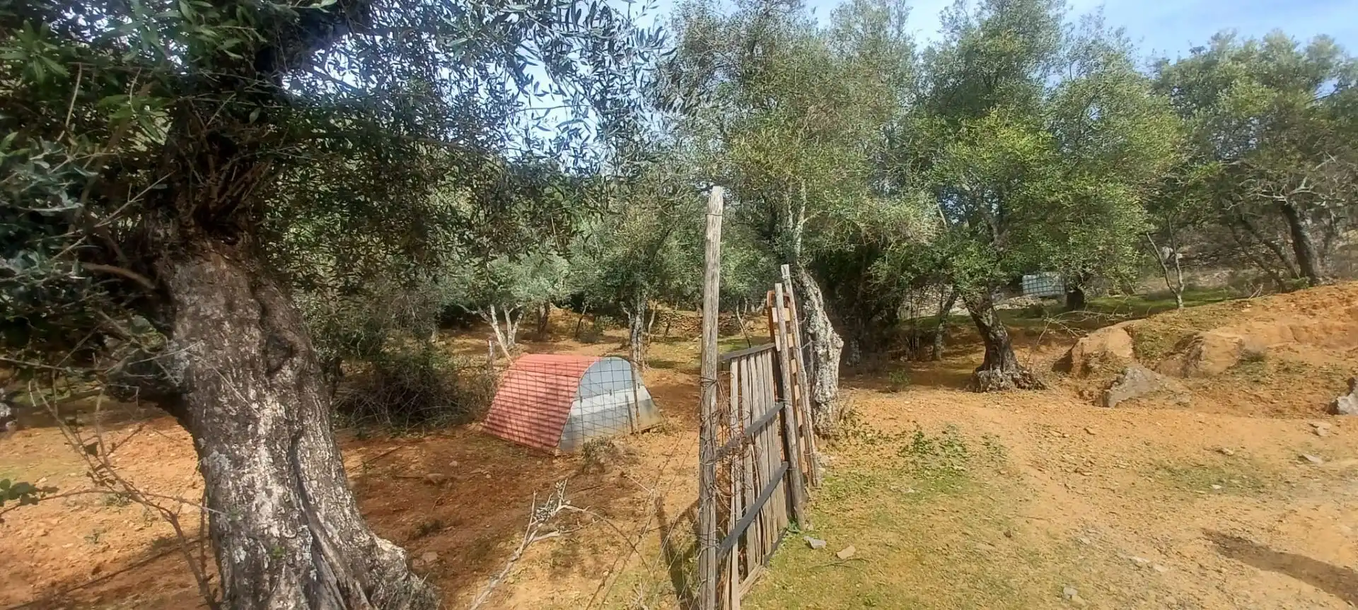 Terreni e lotti in vendita a Constantina, imagen 32