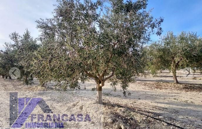 Finca rústica en venta en  Murcia Capital
