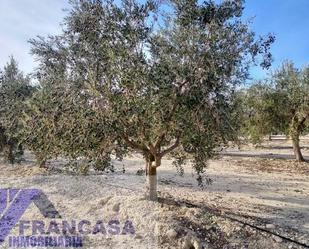 Finca rústica en venda en  Murcia Capital