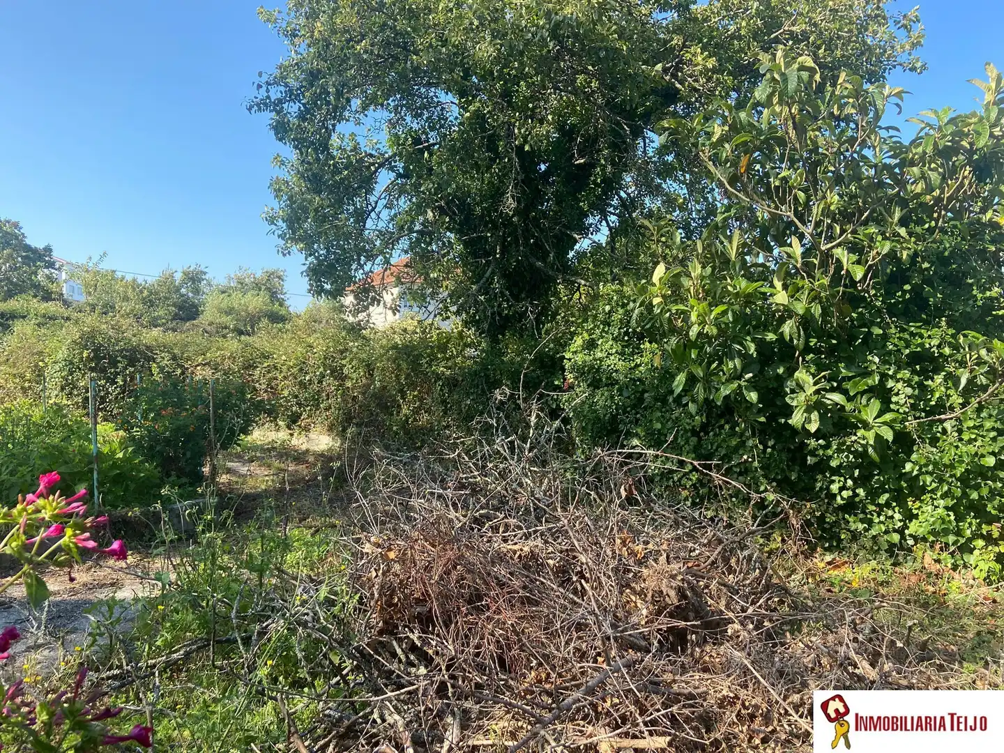 Terreno residencial en venta en Neda, imagen 6