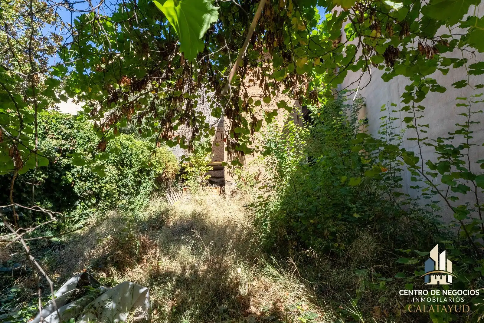 Casa o chalet en venta en Castejón de las Armas, Zaragoza