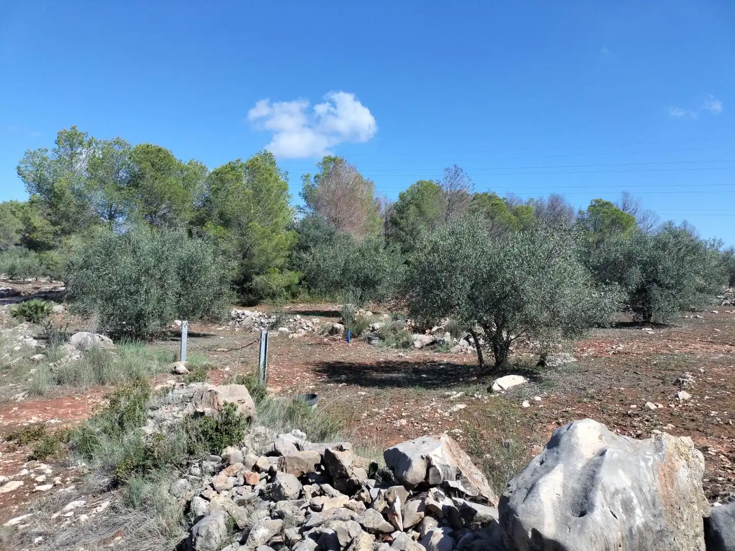 Rustikales Grundstück zum Verkauf in Xàtiva, imagen 8