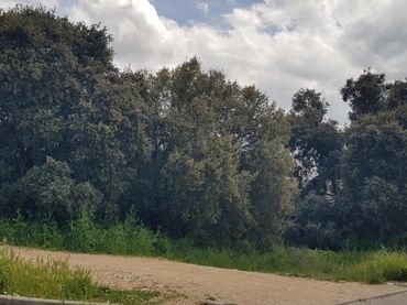 Wohnbaugrundstück zum Verkauf in Pioz