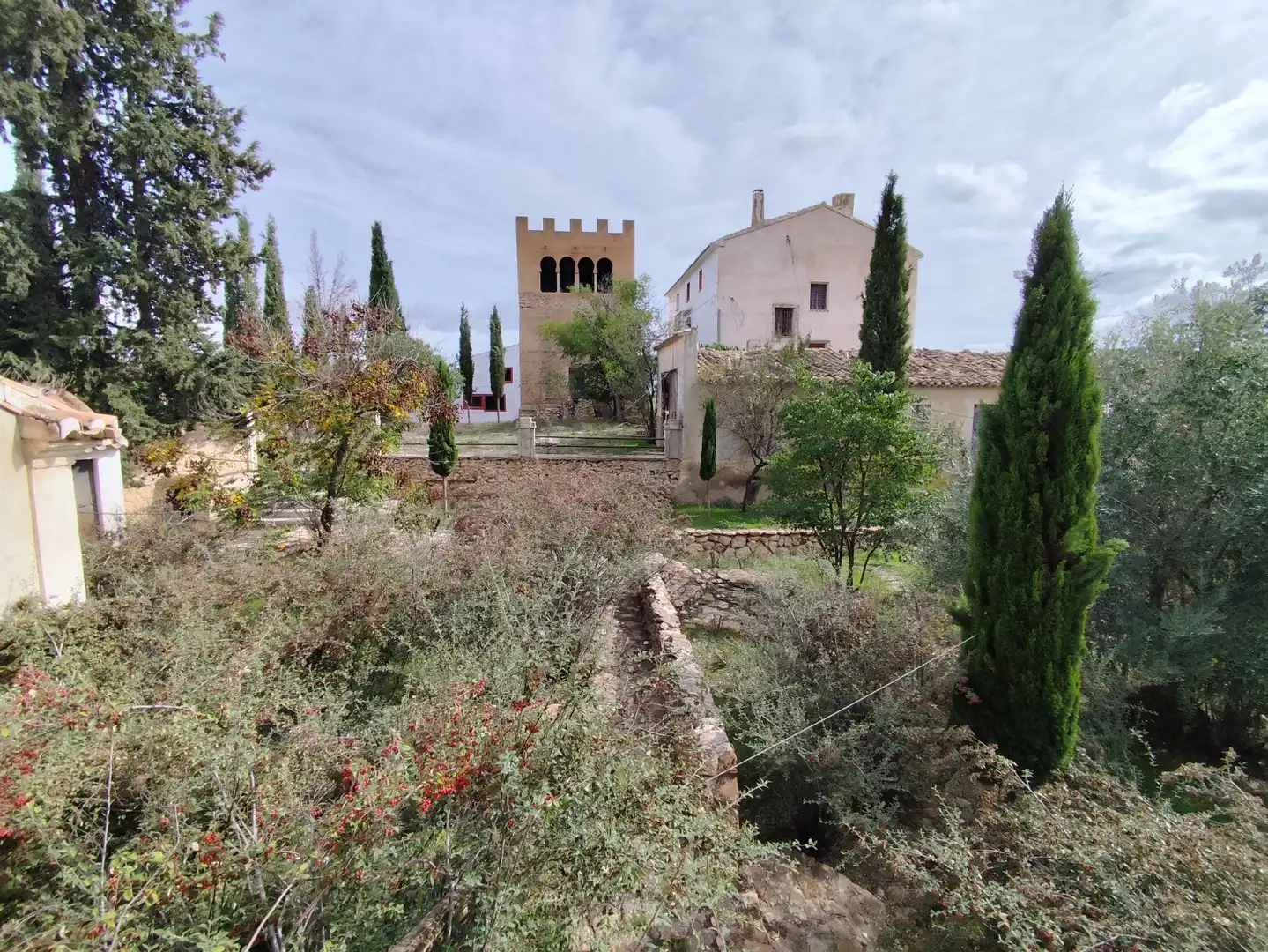 Einzigartige Immobilien zum Verkauf in Camino la Torre, imagen 3