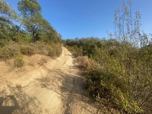 Terrenos y solares en venta en La Nava, imagen 15