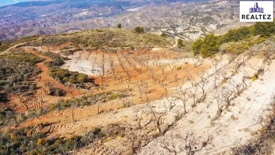 Terrain rustique à vendre à Alcolea, imagen 11