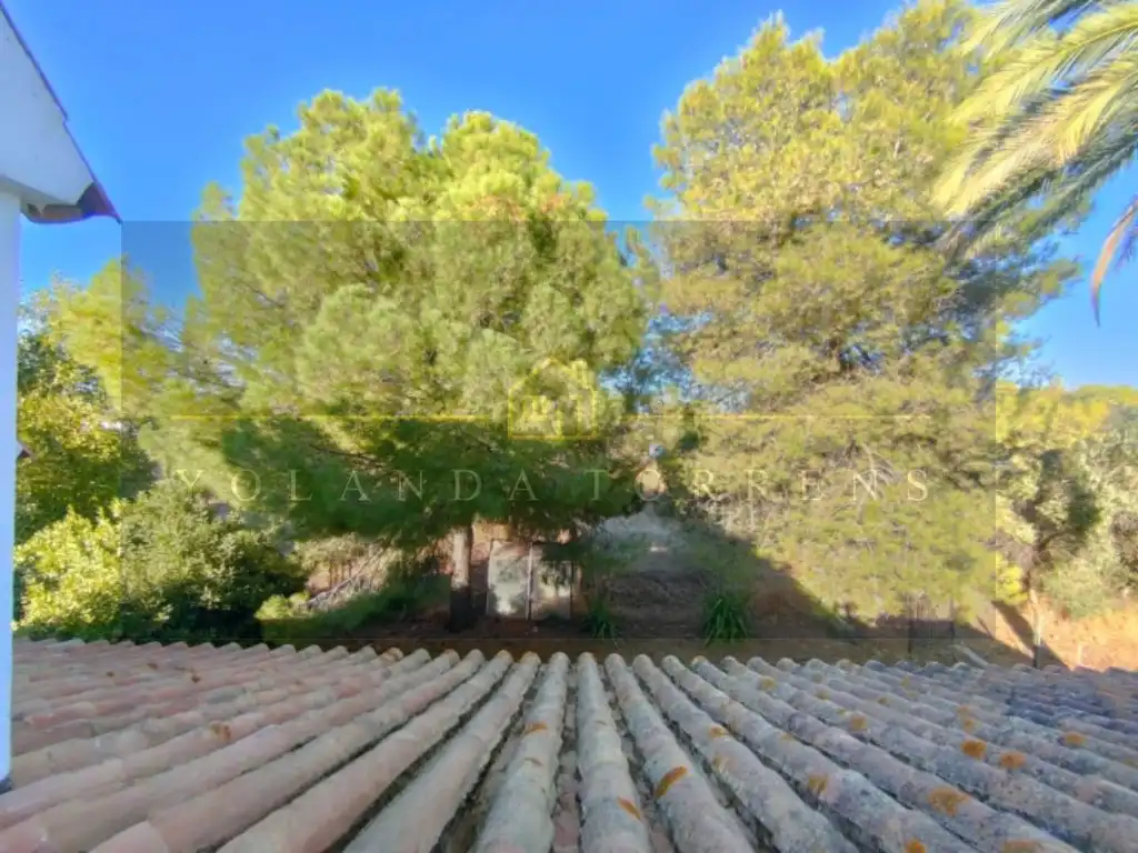 Jardí de Casa o xalet en venda en Carmona