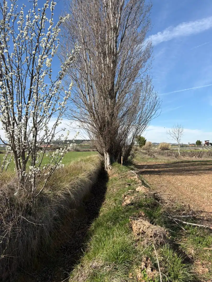 Rural land for sale in Villamediana de Iregua, imagen 4