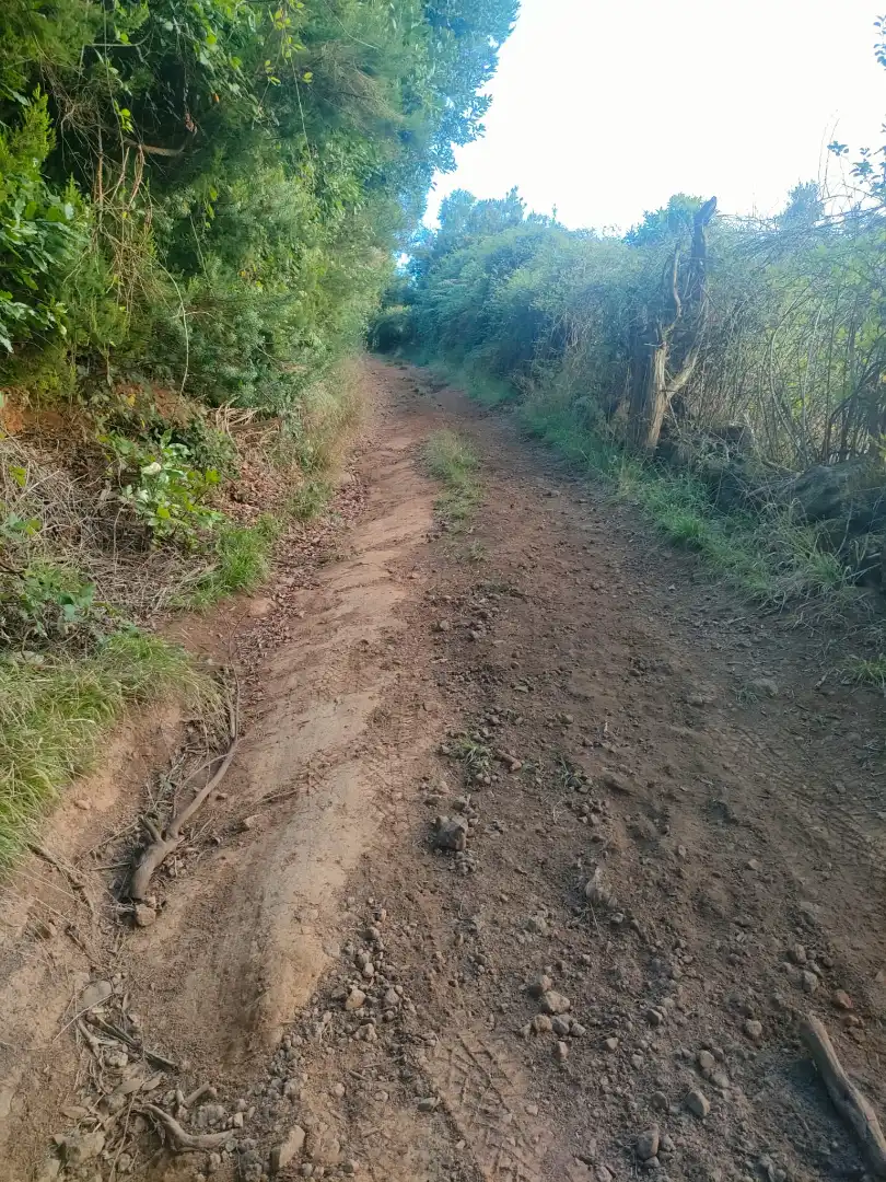 Terreny rústic en venda a El Sauzal, imagen 11