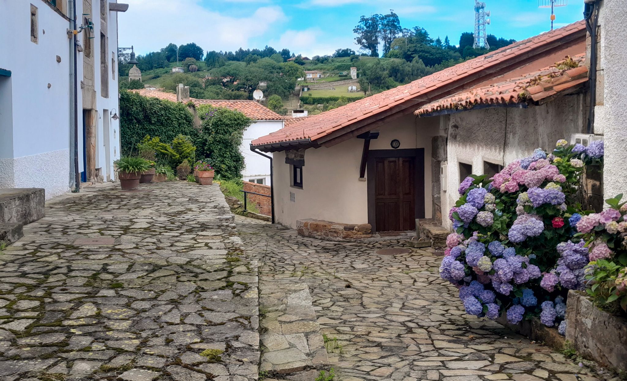 Exterior view of Single-family semi-detached for sale in Colunga