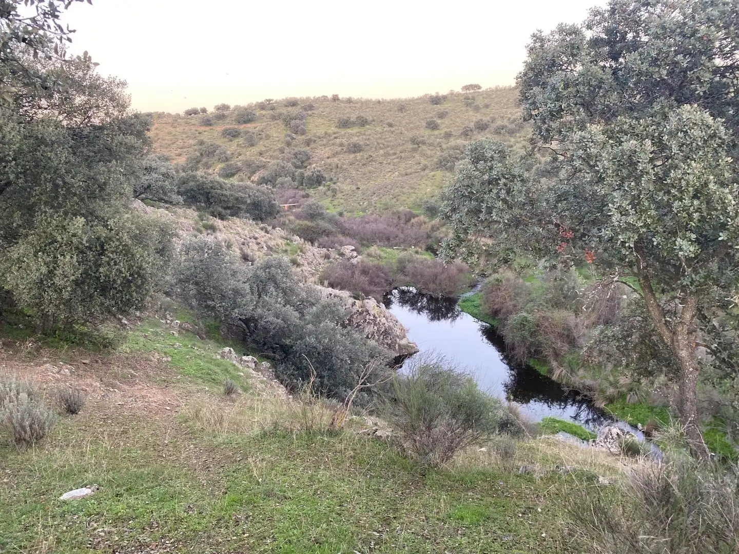 Terreni e lotti in vendita a Villar del Pedroso, imagen 22