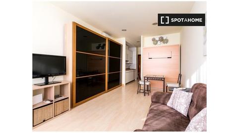 Photo 5 of Study to share in Encarnación - Regina, Sevilla